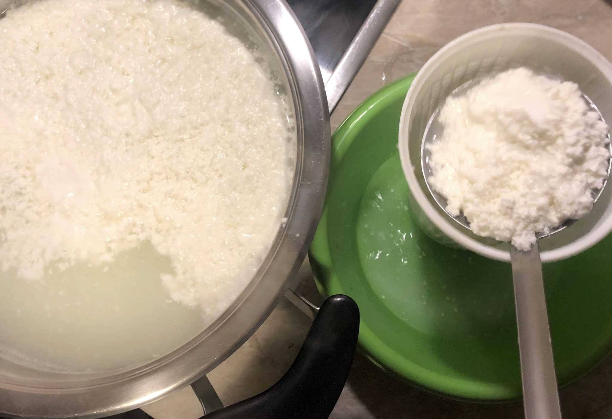 Ricotta fatta in casa – selbst gemachter Ricotta – TeleRadio 1